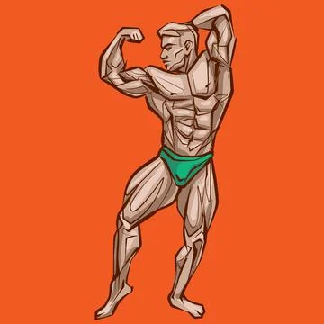 Posing bodybuilder, isolated vector silhouette, ink drawing Stock Illustration