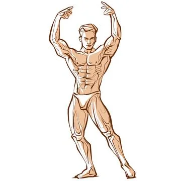 Posing bodybuilder, isolated vector silhouette, ink drawing Stock Illustration