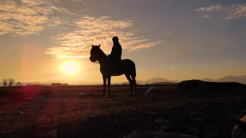 Posing on a Horse with a Sunset View Video stock 262080346