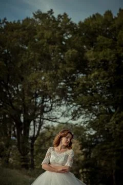 Posing red head sensitive bride wit hthe red lipstick at the forest background. Stock Photos