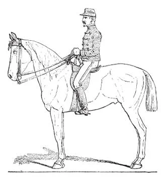 Position of the Cavalier, vintage engraving. Stock Illustration