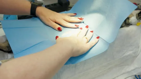 Positioning and smoothing sterile drape around surgical site precisely Stock Footage 333990137