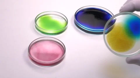 Positioning an colored spots petri dish Stock Footage 64287673
