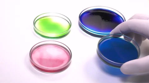 Positioning en filled bue petri dish Video stock 64290796