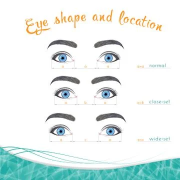 Positions of eyes in width on a white background Stock Illustration