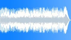 Positive and Energetic, Blues Chicago Style 60sec edit Stock Music