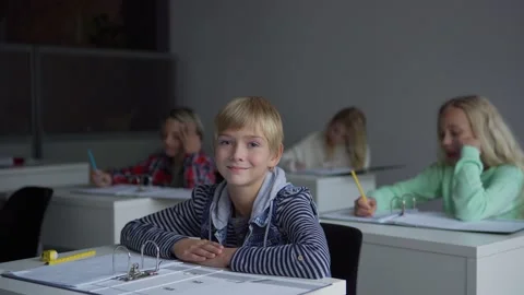 Positive boy during lesson in school Video stock 142495994