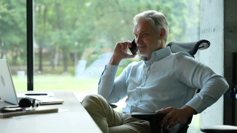 Positive confident manager talking smartphone Stock Footage 295184600