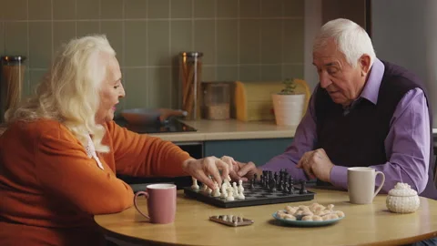 Positive elderly couple playing chess and high-fiving after a winning move Stock Footage 337652709