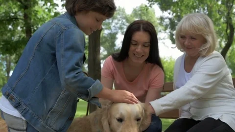 Positive family resting in the park Stock Footage