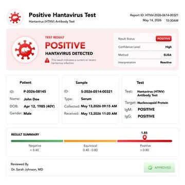 Positive hantavirus test report. vector illustration Stock Illustration