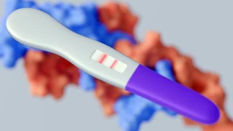 A positive home pregnancy test indicate the detection of hCG Stock Illustration