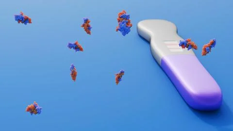 A positive home pregnancy test indicate the detection of hCG Stock Illustration