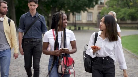 Positive multiracial students chatting during walk Stock-Footage 163280998