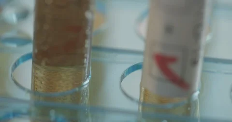 Positive result COVID-19 testing Stock Footage 127652178