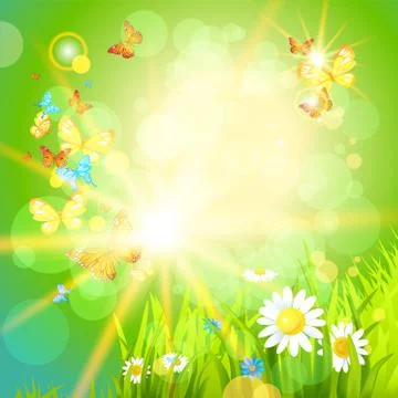 Positive summer background with flowers Stock Illustration