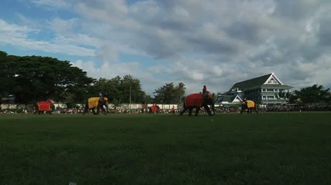 Poso Elephants 20 Stock Footage 24709796