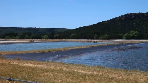 Possum Kingdom Fish Hatchery Stockbeeldmateriaal 77889748