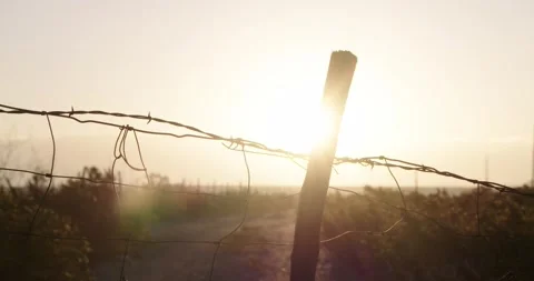 Post and Barbed Wire during Sunrise in Texas Stock Footage 255588658