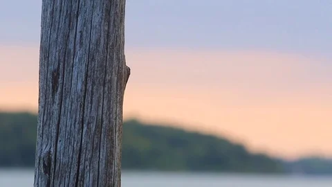 Post and Lakeside Stock Footage 79226692