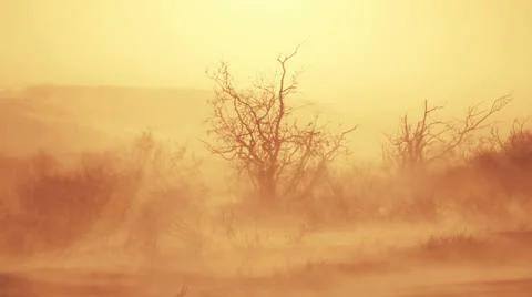 Post Apocalypse, climate change, global warming disaster, background element 스톡 동영상 31702018