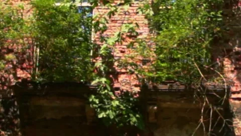 Post-apocalypse ghost town,the scenery for the series lost of us Stock Footage 244999957