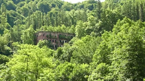Post-apocalypse ghost town,the scenery for the series lost of us Video stock 245003677