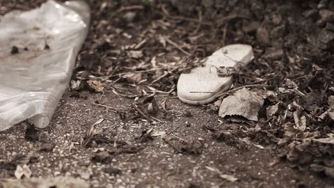 Post apocalyptic world after apocalypse. Discarded shoe says no life. Stock Footage 115278064
