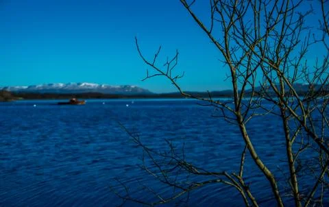 Post boat behind a tree Stock Photos