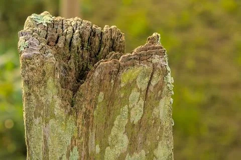 Post eroded by the weather Stock Photos