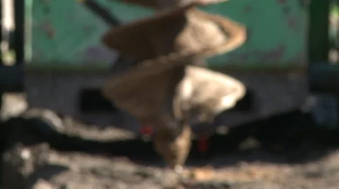 Post Hole Borer Stock Footage 57714829