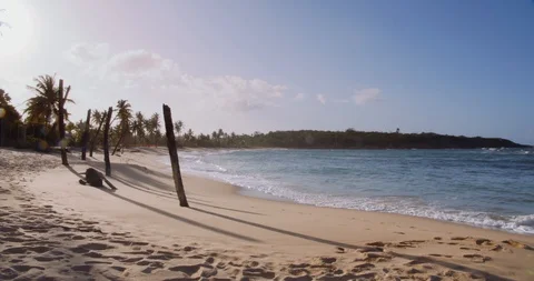 Post hurricane beach with broken palm trees Stock Footage 124750513