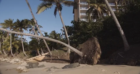 Post hurricane beach with broken palm trees Stock Footage 124750845