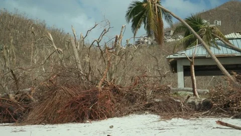 Post Hurricane Irma 2017 devastation, Trunk Beach, St John 動画素材 81066271