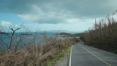 Post Hurricane Irma 2017 devastation, north shore road, St John Stock Footage 83557622