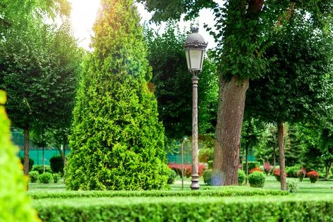 Post with a lantern made of iron and a glass shade in retro style in a park. Stock Photos