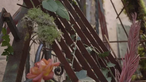 Post modern floreal composition 動画素材 147663011