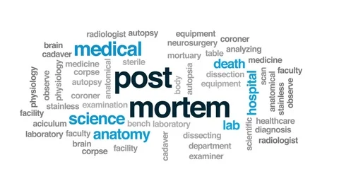 Post mortem animated word cloud, text design animation. Stock Footage 81438338