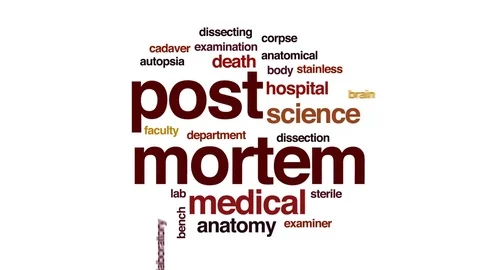 Post mortem animated word cloud, text design animation. Stock Footage 81738404