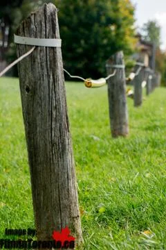 Post Stock Photos