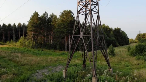 The post power lines located in the woods Stock Footage 123934149
