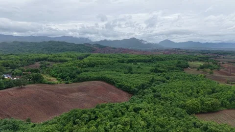 Post-Rain Landscape with Mountain and Forest – 4K Drone Shot Stock Footage 310513423