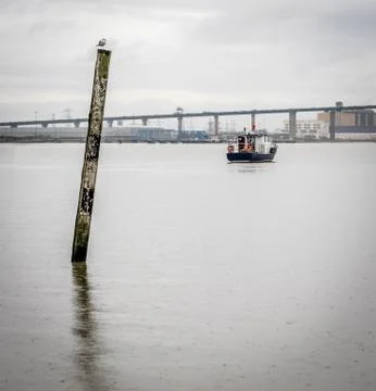 Post with a seagull on it and a small boat Stock Photos
