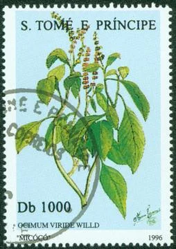 Post stamp printed in S.Tome e Principe shows plant Stock Photos