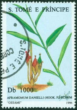 Post stamp printed in S.Tome e Principe shows plant Stock Photos