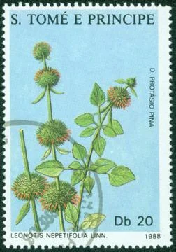 Post stamp printed in S.Tome e Principe shows plant Stock Photos