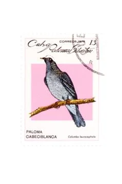 Postage stamp bird macro Stock Photos