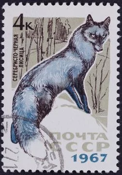 Postage Stamp Featuring a Fox and Birch Trees, 1967 Stock Photos