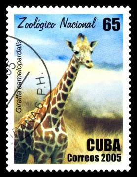 Postage stamp. Giraffe. Foto stock