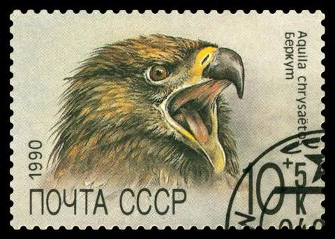 Postage stamp. Golden eagle. Stock Photos